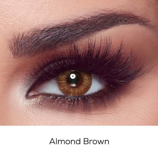 Bella One Day - Almond Brown - FIVE PAIRS