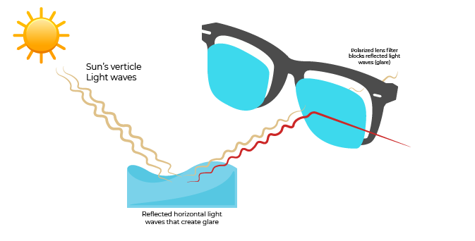 Polarised Lens