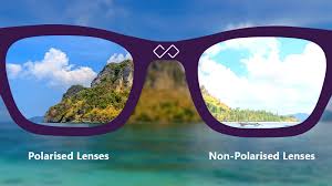 Polarised Lens